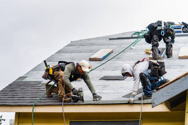Professional Roofing technician working in Windfall, IN